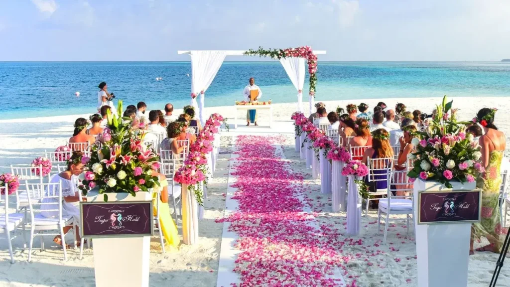 Beachside Outdoor Wedding
