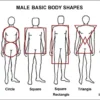 Male Body Types